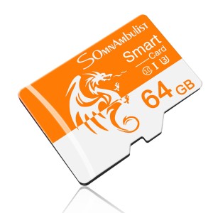 Karta pamięci SomnAmbulist 64 GB MINI TF C10
